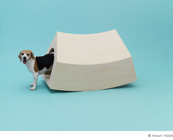 beagle dog house size